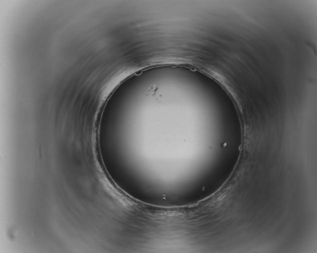 X0000099541187200805231119