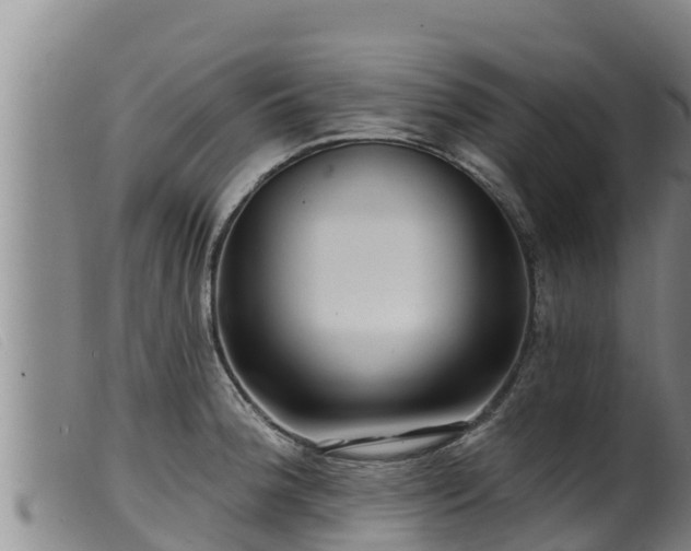 X0000099541188200805231119