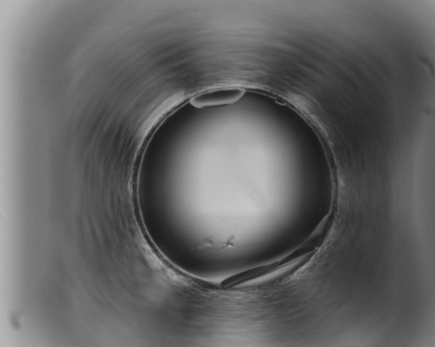 X0000099541189200805231119