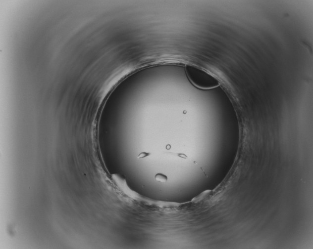 X0000099541190200805231119