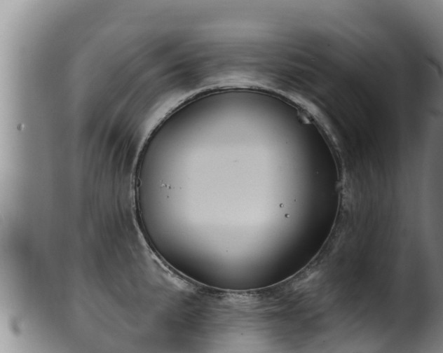 X0000099541191200805231119