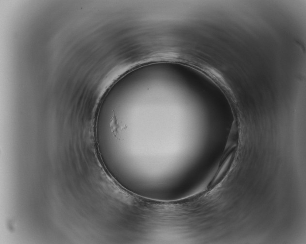 X0000099541192200805231119