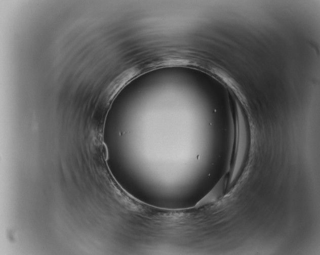 X0000099541193200805231119