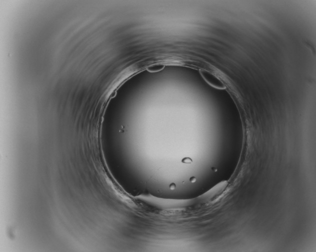 X0000099541194200805231119