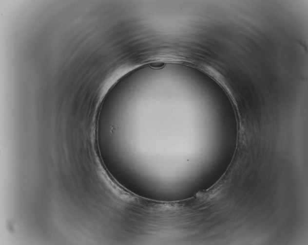 X0000099541195200805231119