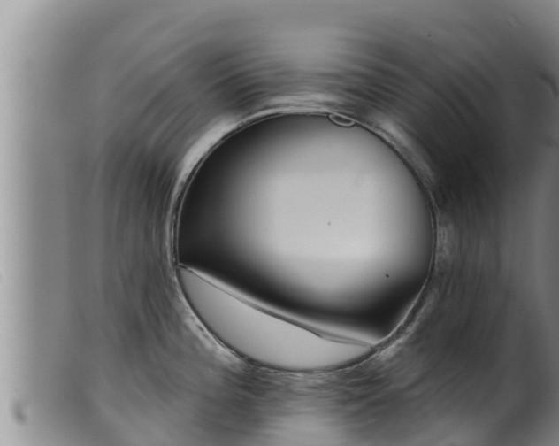 X0000099541196200805231119