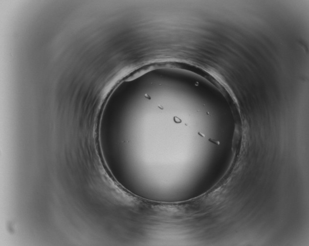 X0000099541197200805231119