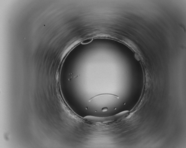 X0000099541198200805231119