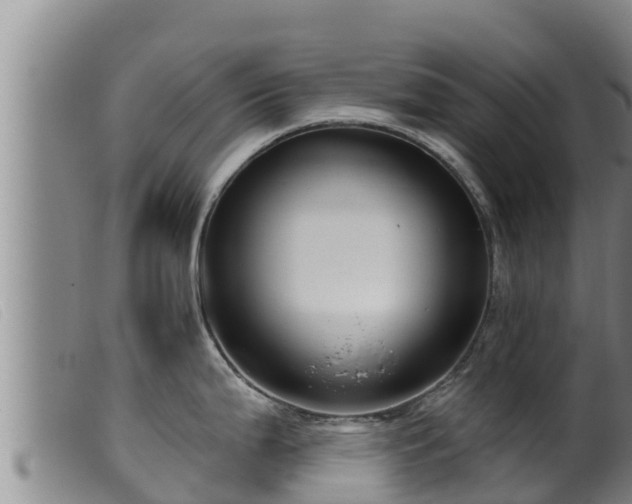 X0000099541199200805231119