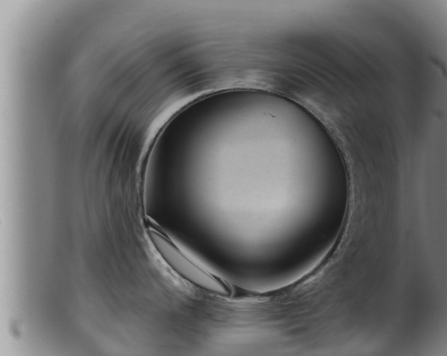 X0000099541200200805231119