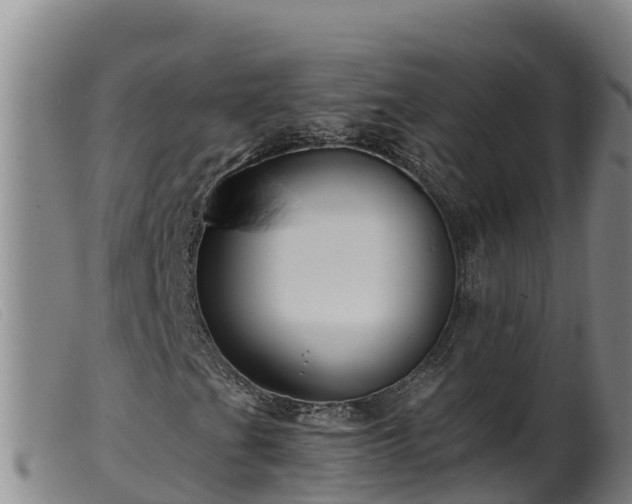 X0000099541201200805231118