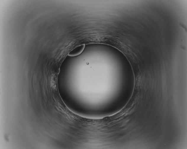 X0000099541202200805231118