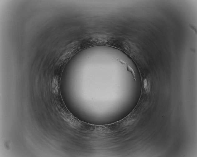 X0000099541203200805231118