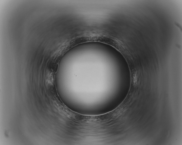 X0000099541204200805231118