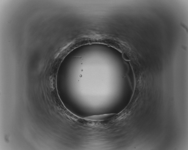 X0000099541205200805231118