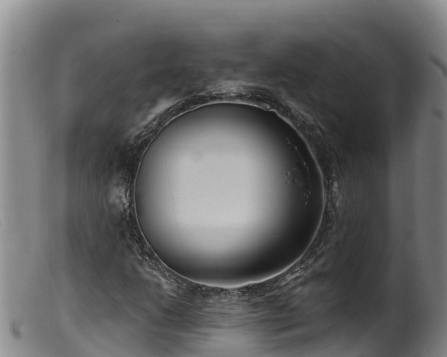 X0000099541206200805231118