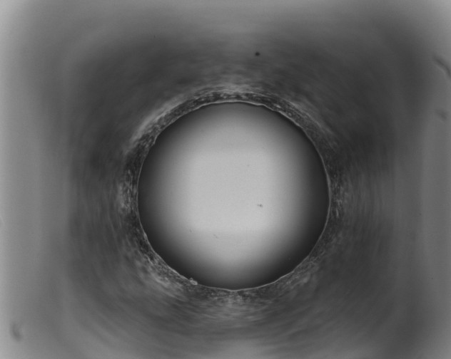 X0000099541207200805231118