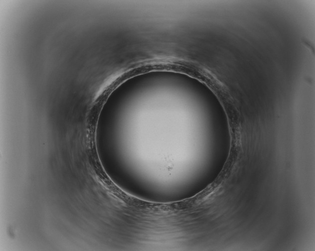 X0000099541208200805231118