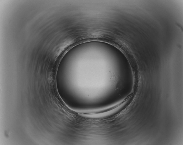 X0000099541210200805231118