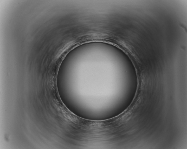 X0000099541211200805231118