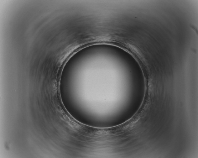 X0000099541212200805231118