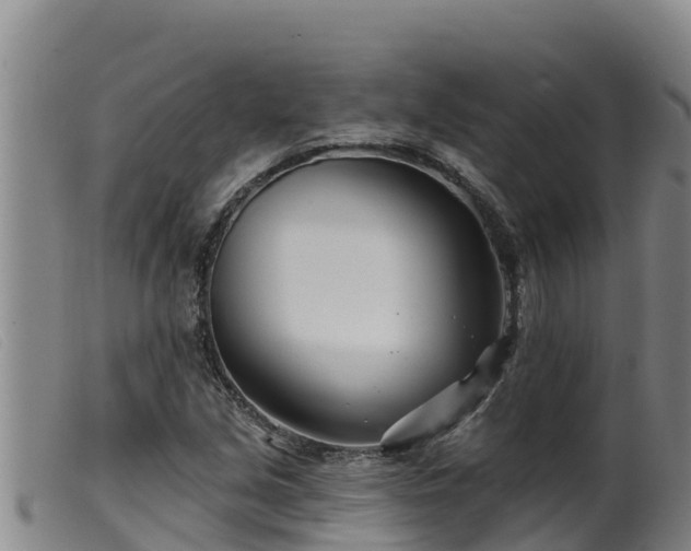 X0000099541213200805231118