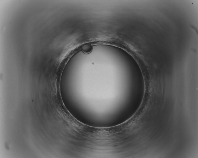 X0000099541214200805231118