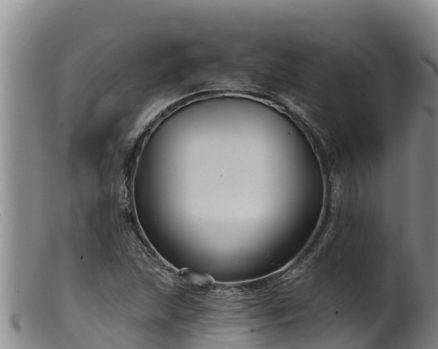 X0000099541215200805231118