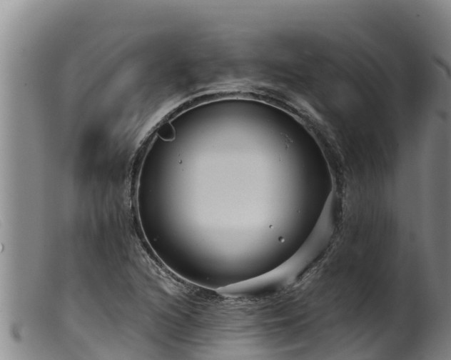 X0000099541216200805231118