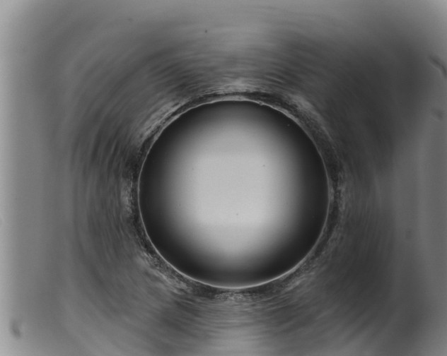 X0000099541217200805231118