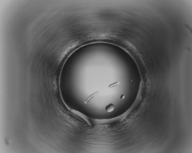 X0000099541218200805231118