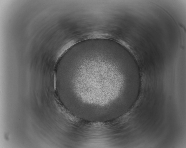 X0000099541219200805231118