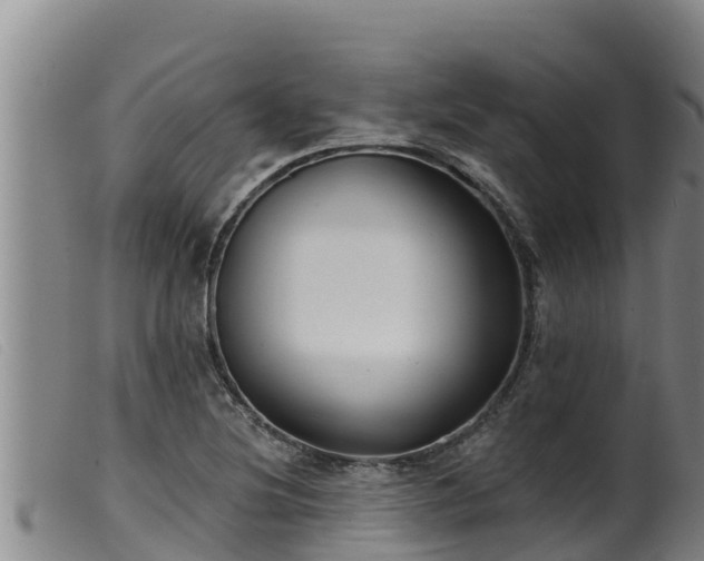 X0000099541220200805231118