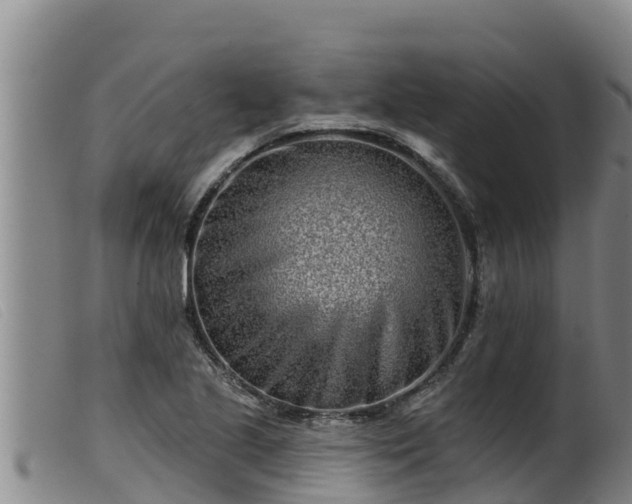 X0000099541221200805231118