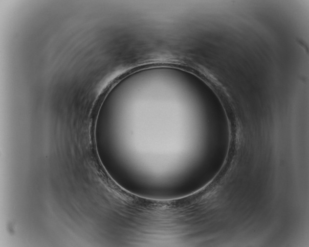 X0000099541222200805231118