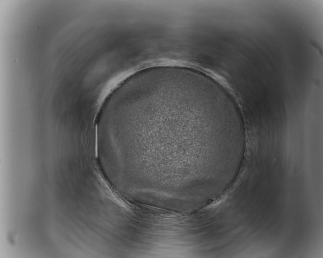 X0000099541223200805231118