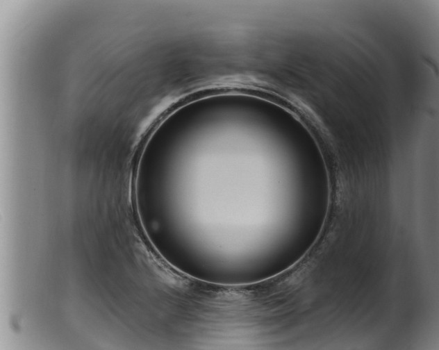 X0000099541224200805231118