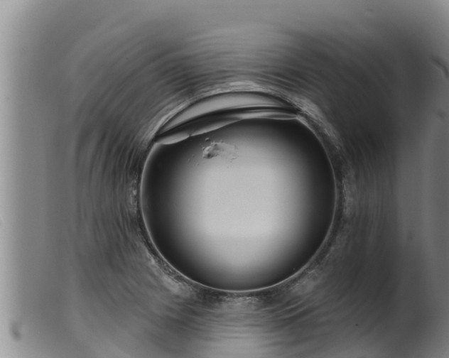 X0000099541225200805231118