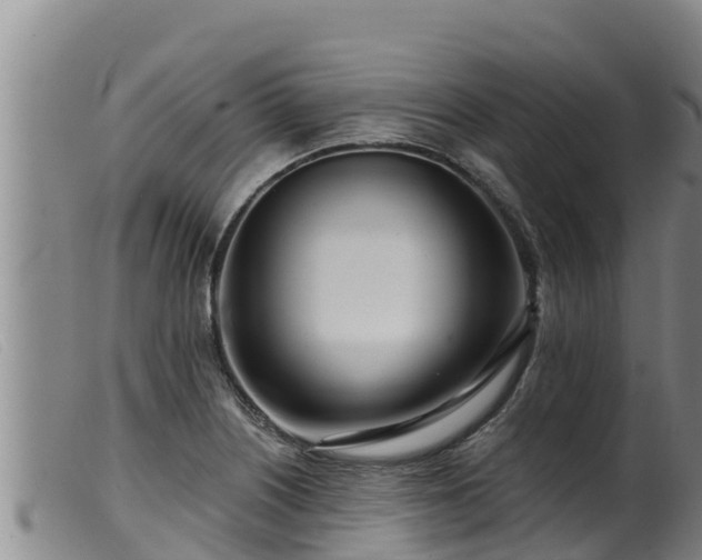 X0000099541226200805231118