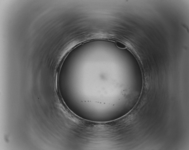 X0000099541227200805231118