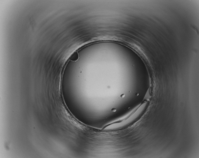 X0000099541228200805231118