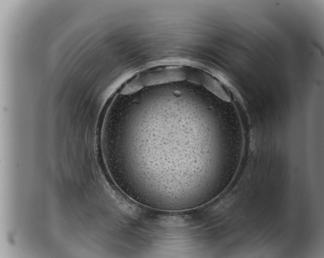 X0000099541229200805231118