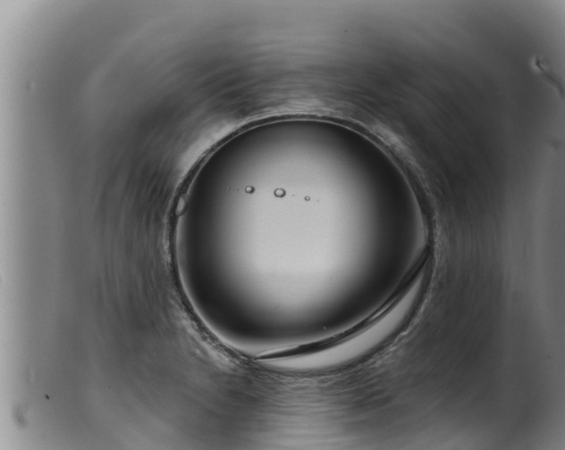 X0000099541230200805231118