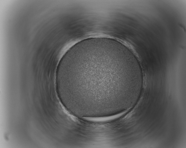 X0000099541231200805231118