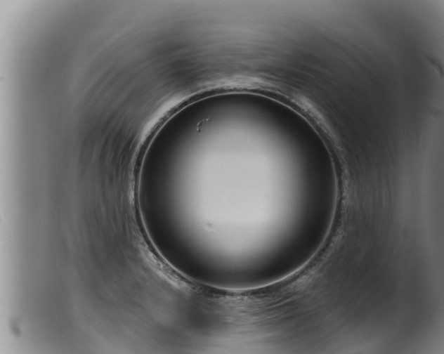 X0000099541232200805231118