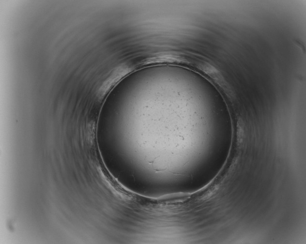 X0000099541233200805231118