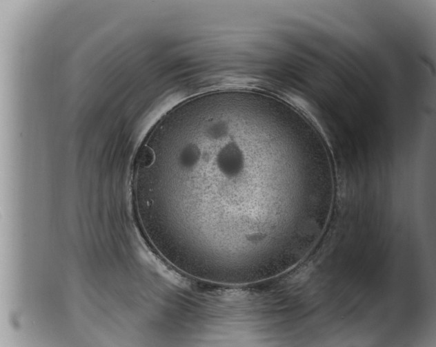 X0000099541235200805231119