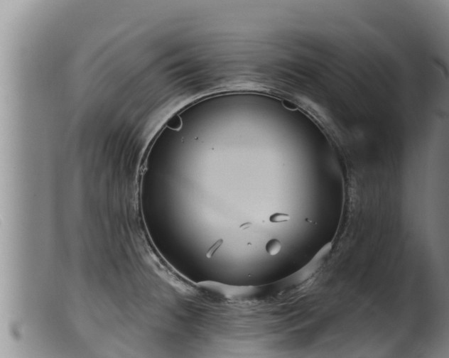 X0000099541236200805231119