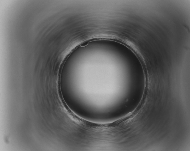 X0000099541237200805231119