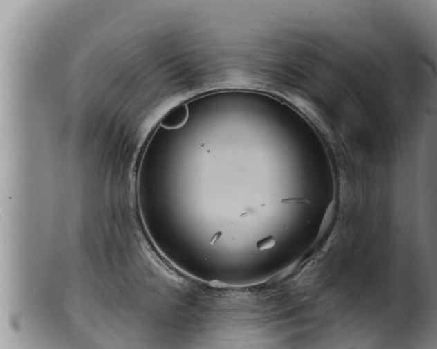 X0000099541238200805231119